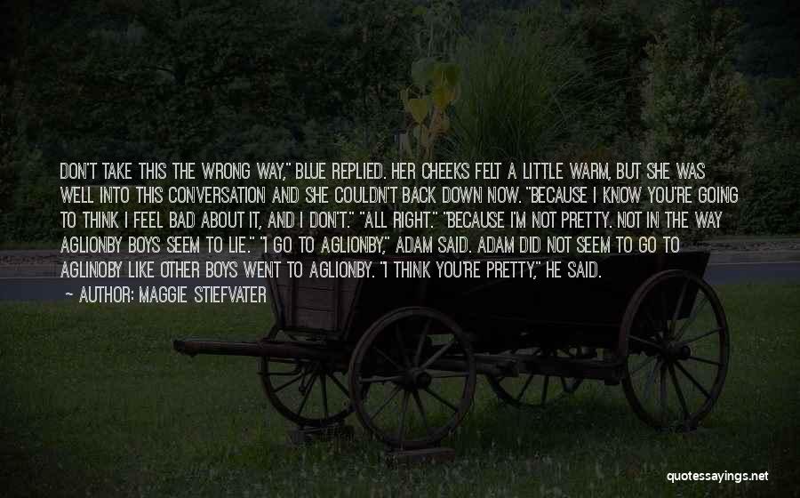 Maggie Stiefvater Quotes: Don't Take This The Wrong Way, Blue Replied. Her Cheeks Felt A Little Warm, But She Was Well Into This