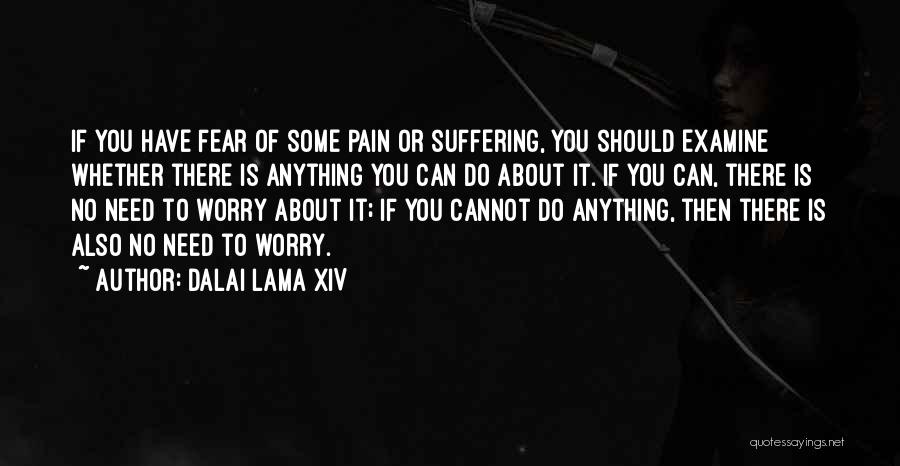 Dalai Lama XIV Quotes: If You Have Fear Of Some Pain Or Suffering, You Should Examine Whether There Is Anything You Can Do About