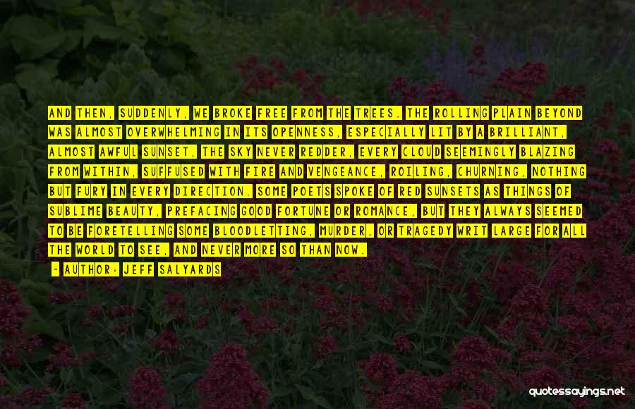 Jeff Salyards Quotes: And Then, Suddenly, We Broke Free From The Trees. The Rolling Plain Beyond Was Almost Overwhelming In Its Openness, Especially