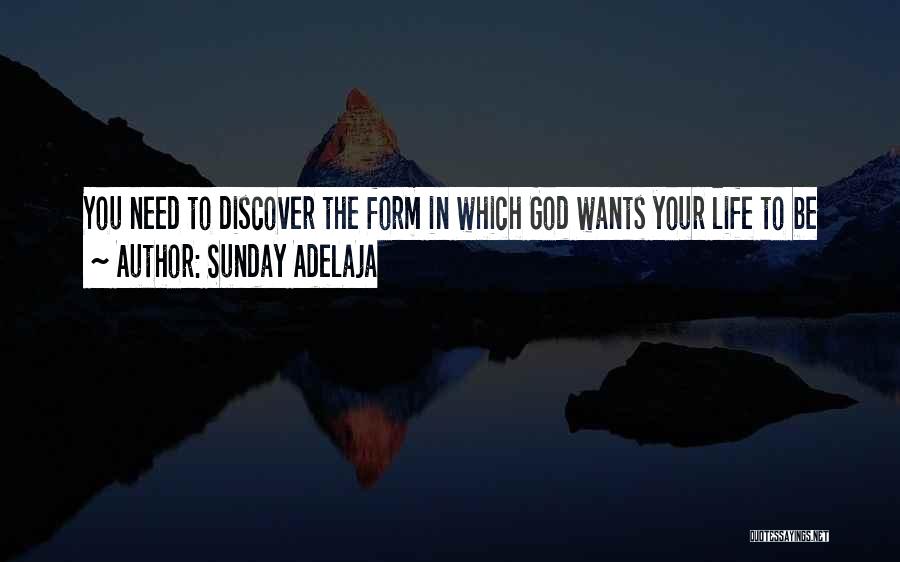 Sunday Adelaja Quotes: You Need To Discover The Form In Which God Wants Your Life To Be