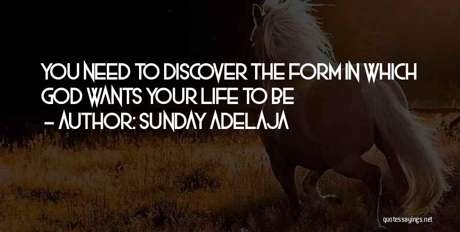 Sunday Adelaja Quotes: You Need To Discover The Form In Which God Wants Your Life To Be