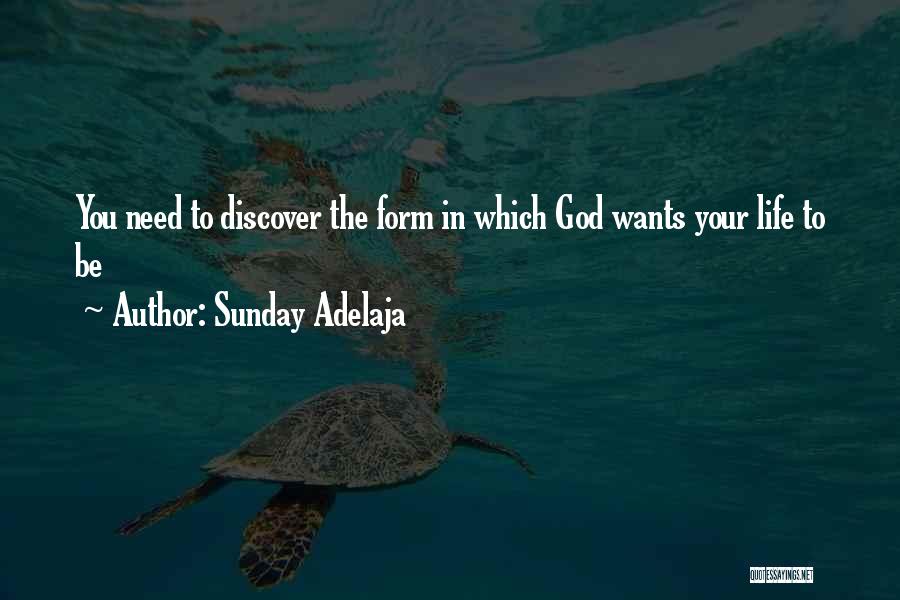 Sunday Adelaja Quotes: You Need To Discover The Form In Which God Wants Your Life To Be