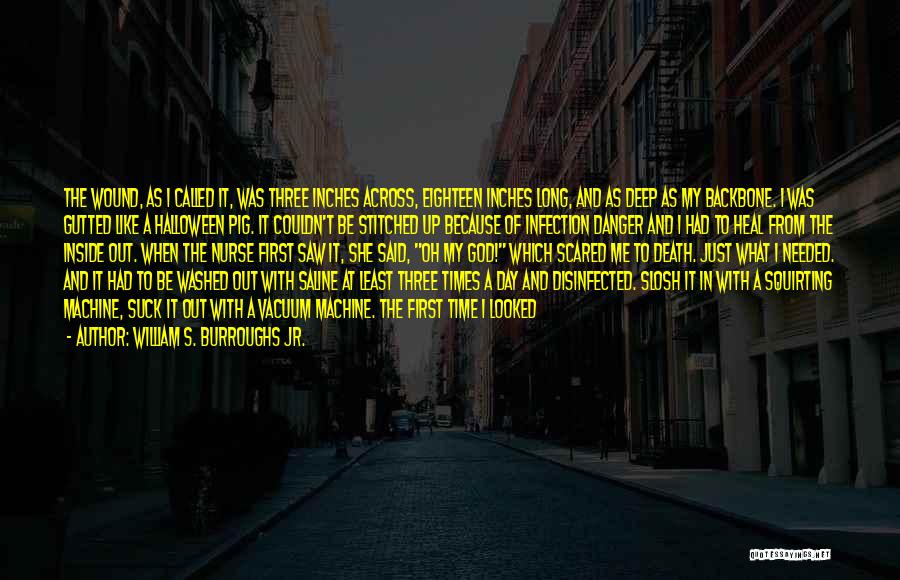 William S. Burroughs Jr. Quotes: The Wound, As I Called It, Was Three Inches Across, Eighteen Inches Long, And As Deep As My Backbone. I