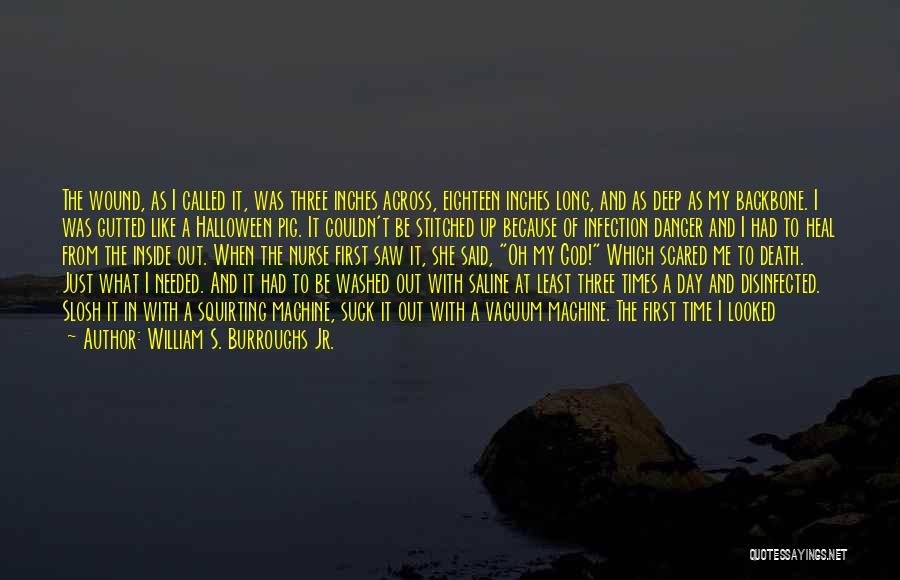 William S. Burroughs Jr. Quotes: The Wound, As I Called It, Was Three Inches Across, Eighteen Inches Long, And As Deep As My Backbone. I