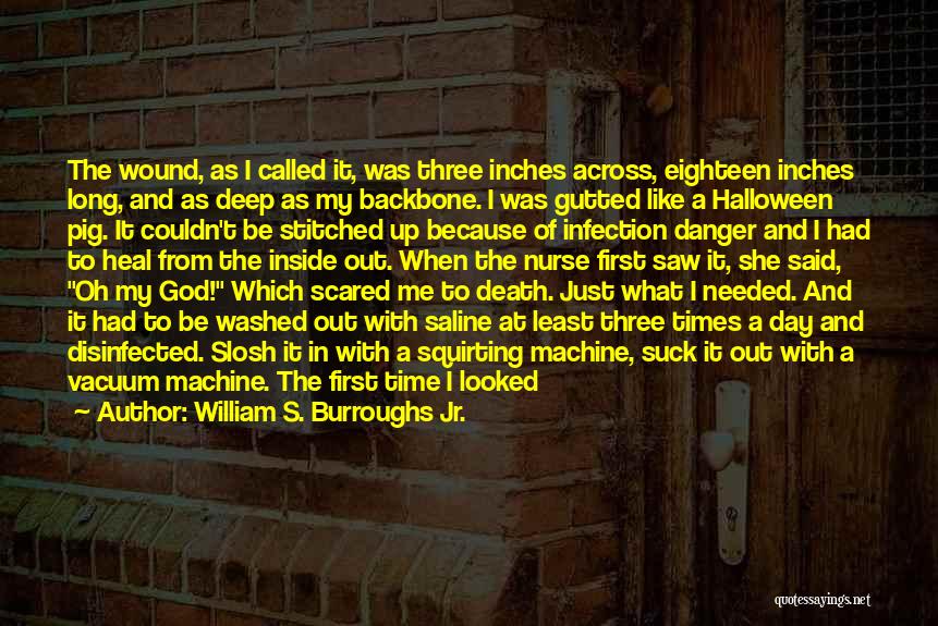 William S. Burroughs Jr. Quotes: The Wound, As I Called It, Was Three Inches Across, Eighteen Inches Long, And As Deep As My Backbone. I