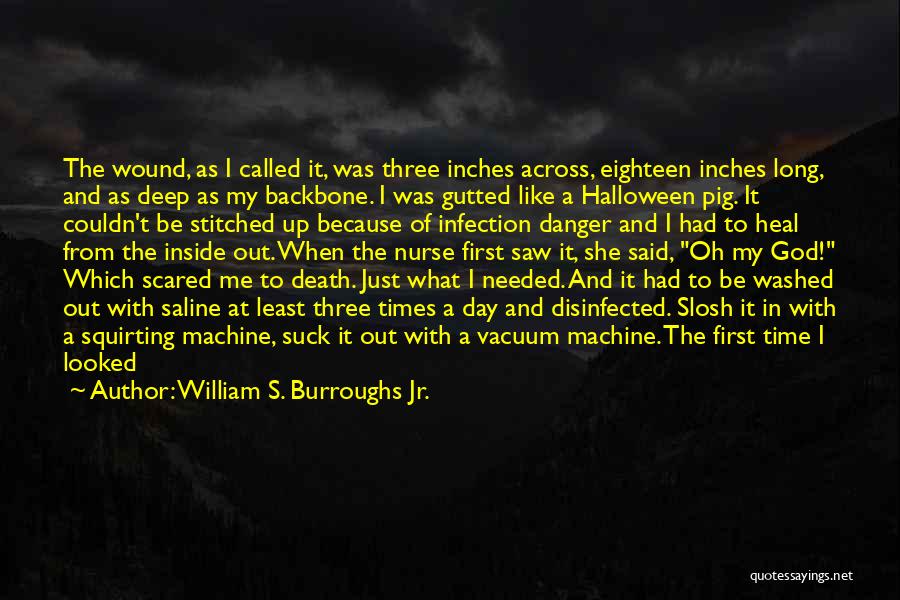 William S. Burroughs Jr. Quotes: The Wound, As I Called It, Was Three Inches Across, Eighteen Inches Long, And As Deep As My Backbone. I
