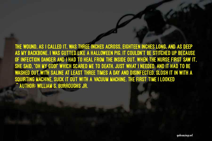 William S. Burroughs Jr. Quotes: The Wound, As I Called It, Was Three Inches Across, Eighteen Inches Long, And As Deep As My Backbone. I