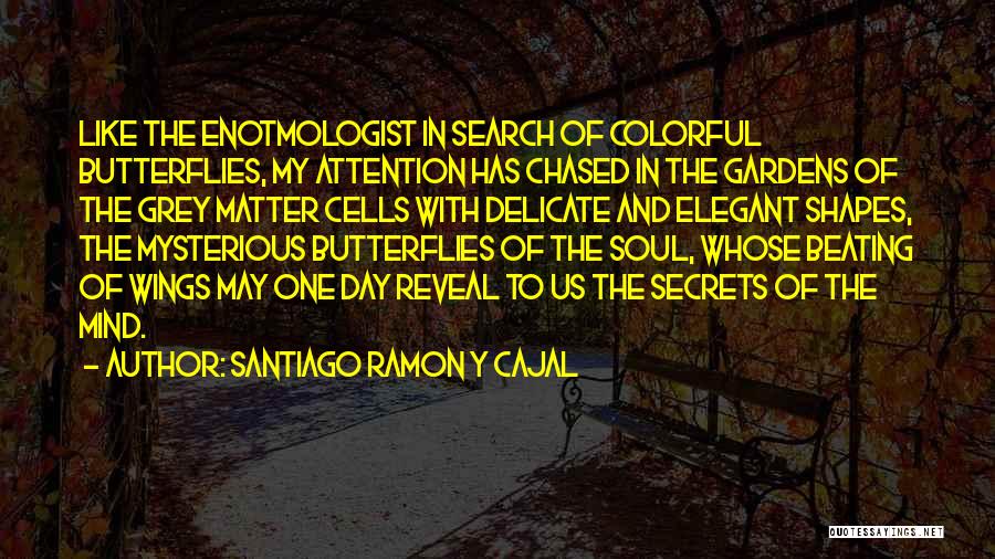 Santiago Ramon Y Cajal Quotes: Like The Enotmologist In Search Of Colorful Butterflies, My Attention Has Chased In The Gardens Of The Grey Matter Cells