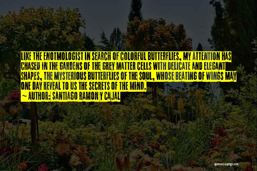 Santiago Ramon Y Cajal Quotes: Like The Enotmologist In Search Of Colorful Butterflies, My Attention Has Chased In The Gardens Of The Grey Matter Cells