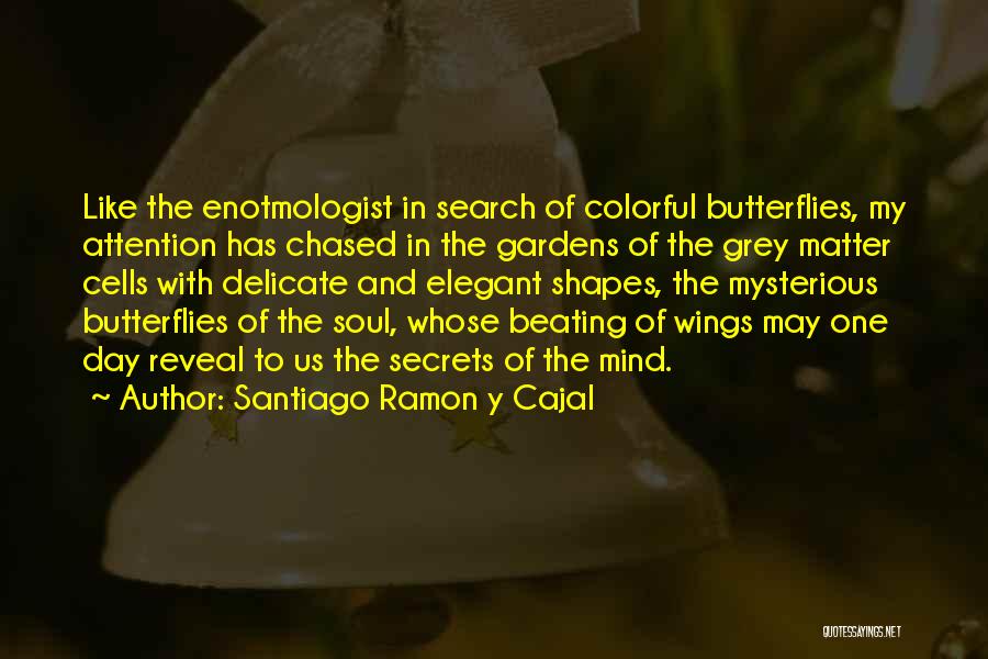 Santiago Ramon Y Cajal Quotes: Like The Enotmologist In Search Of Colorful Butterflies, My Attention Has Chased In The Gardens Of The Grey Matter Cells