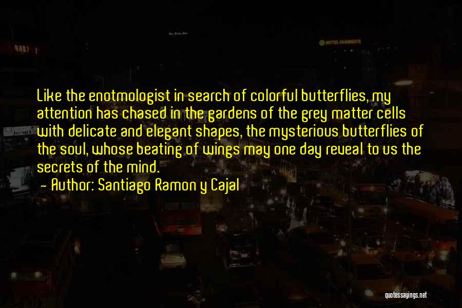 Santiago Ramon Y Cajal Quotes: Like The Enotmologist In Search Of Colorful Butterflies, My Attention Has Chased In The Gardens Of The Grey Matter Cells
