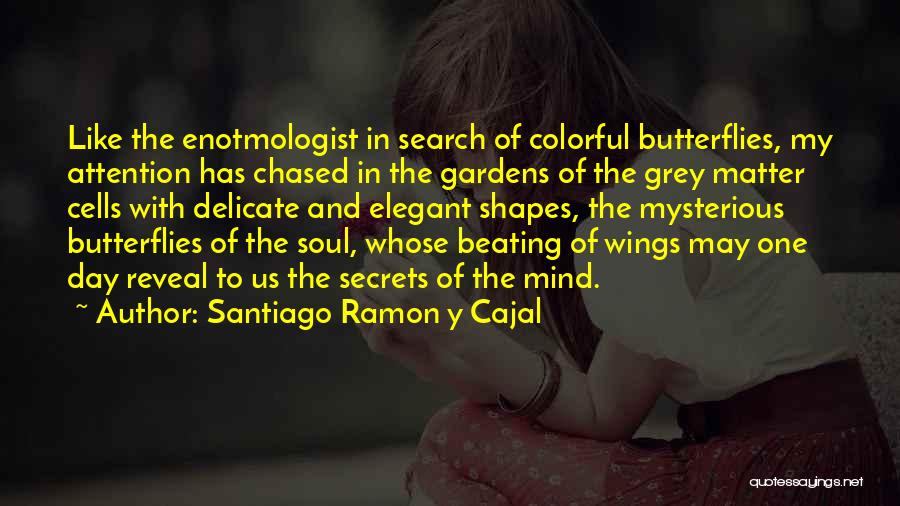 Santiago Ramon Y Cajal Quotes: Like The Enotmologist In Search Of Colorful Butterflies, My Attention Has Chased In The Gardens Of The Grey Matter Cells