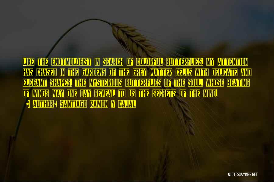 Santiago Ramon Y Cajal Quotes: Like The Enotmologist In Search Of Colorful Butterflies, My Attention Has Chased In The Gardens Of The Grey Matter Cells