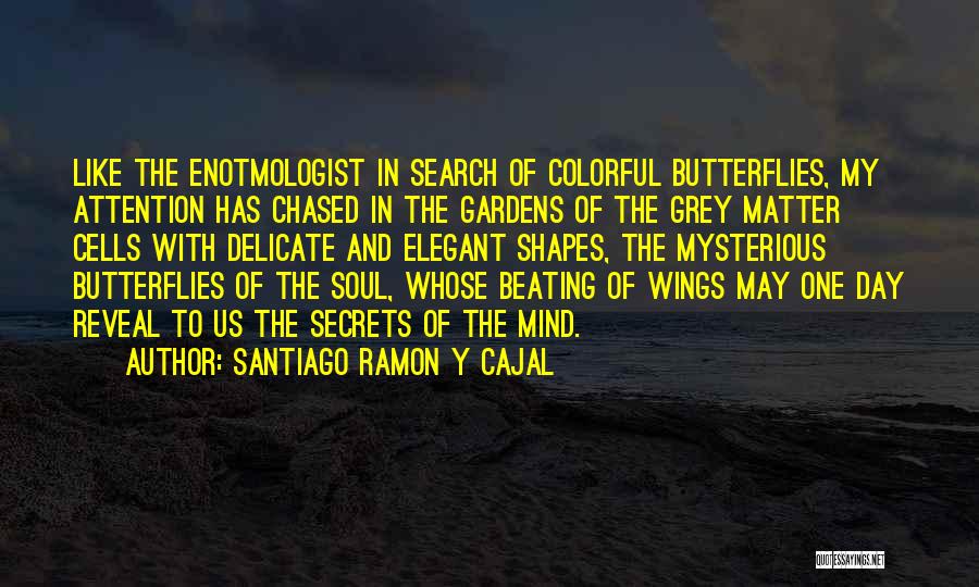 Santiago Ramon Y Cajal Quotes: Like The Enotmologist In Search Of Colorful Butterflies, My Attention Has Chased In The Gardens Of The Grey Matter Cells