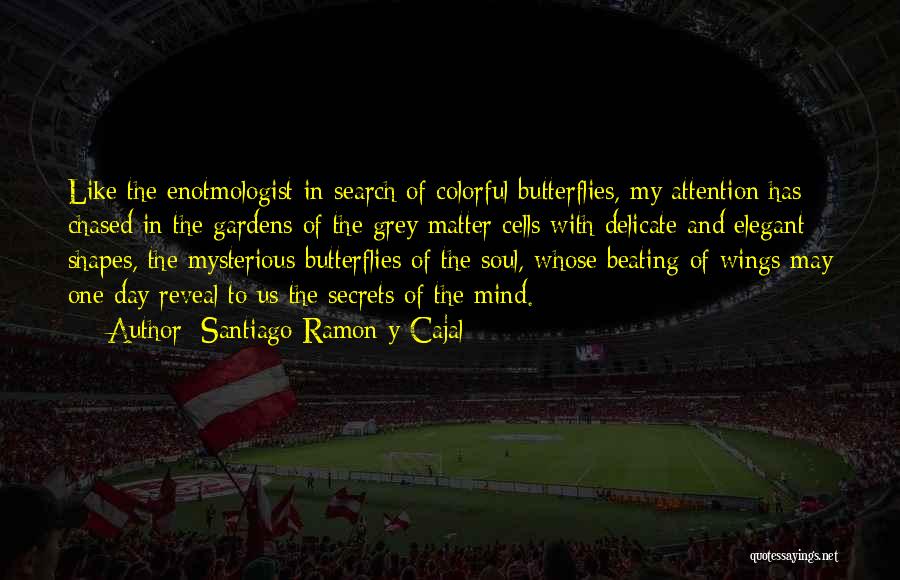 Santiago Ramon Y Cajal Quotes: Like The Enotmologist In Search Of Colorful Butterflies, My Attention Has Chased In The Gardens Of The Grey Matter Cells