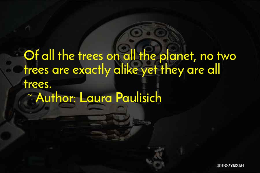 Laura Paulisich Quotes: Of All The Trees On All The Planet, No Two Trees Are Exactly Alike Yet They Are All Trees.