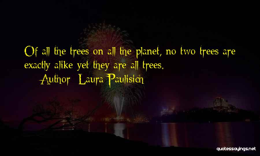 Laura Paulisich Quotes: Of All The Trees On All The Planet, No Two Trees Are Exactly Alike Yet They Are All Trees.