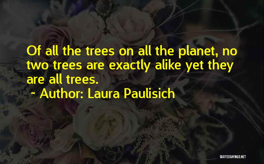 Laura Paulisich Quotes: Of All The Trees On All The Planet, No Two Trees Are Exactly Alike Yet They Are All Trees.