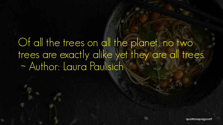 Laura Paulisich Quotes: Of All The Trees On All The Planet, No Two Trees Are Exactly Alike Yet They Are All Trees.