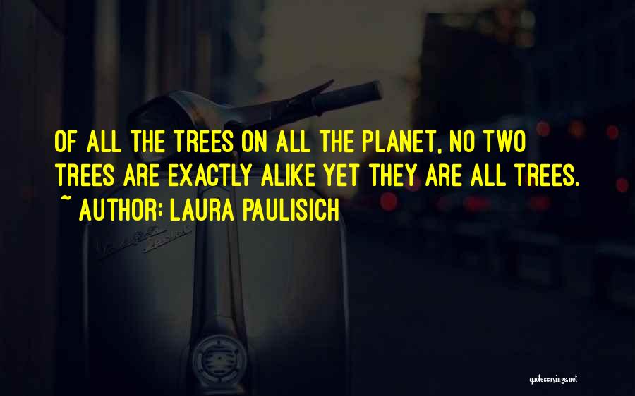 Laura Paulisich Quotes: Of All The Trees On All The Planet, No Two Trees Are Exactly Alike Yet They Are All Trees.