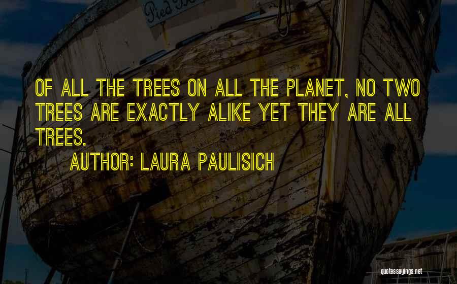 Laura Paulisich Quotes: Of All The Trees On All The Planet, No Two Trees Are Exactly Alike Yet They Are All Trees.