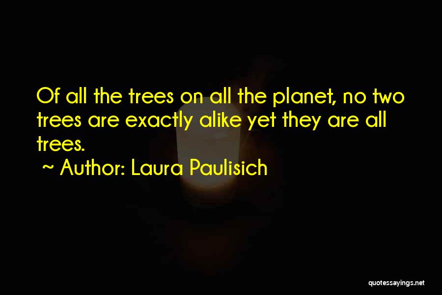 Laura Paulisich Quotes: Of All The Trees On All The Planet, No Two Trees Are Exactly Alike Yet They Are All Trees.