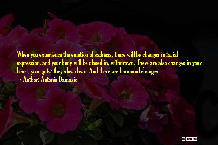 Antonio Damasio Quotes: When You Experience The Emotion Of Sadness, There Will Be Changes In Facial Expression, And Your Body Will Be Closed