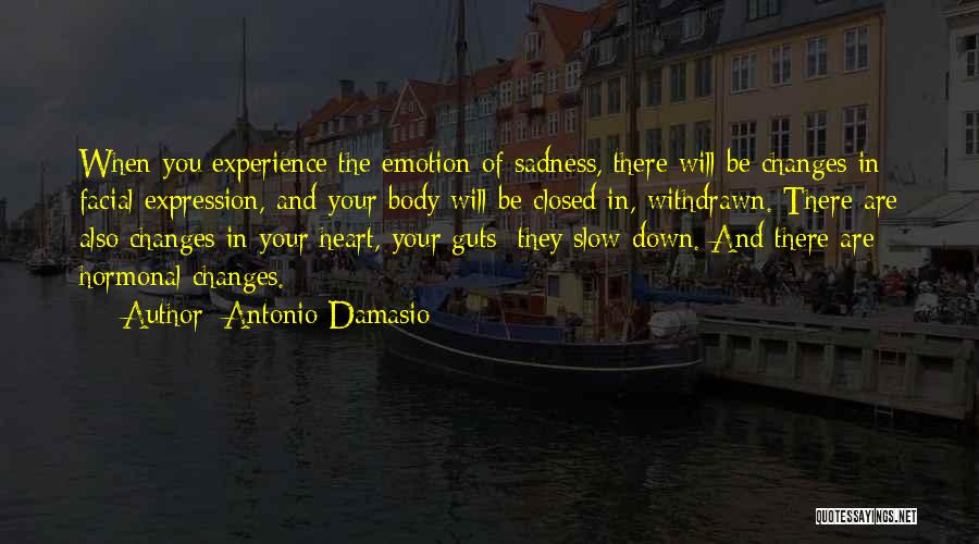 Antonio Damasio Quotes: When You Experience The Emotion Of Sadness, There Will Be Changes In Facial Expression, And Your Body Will Be Closed