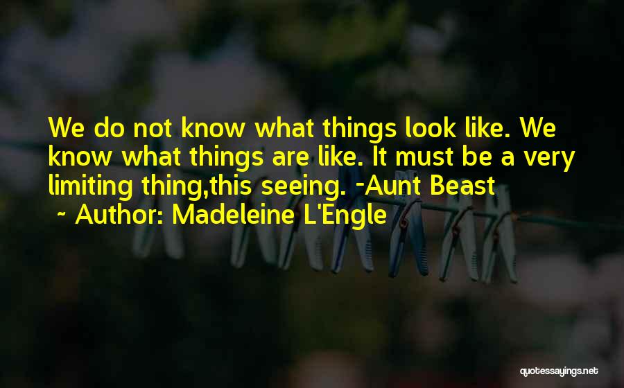 Madeleine L'Engle Quotes: We Do Not Know What Things Look Like. We Know What Things Are Like. It Must Be A Very Limiting
