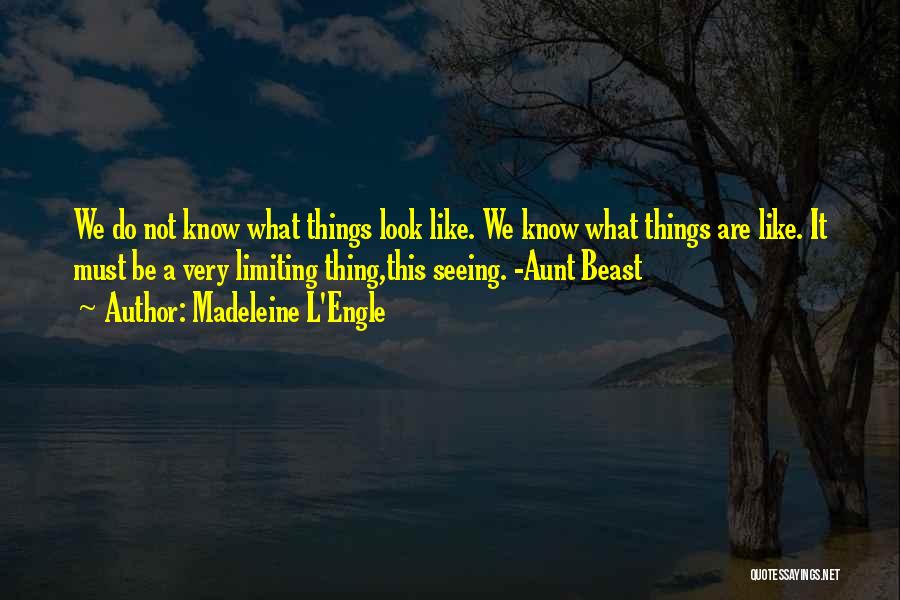 Madeleine L'Engle Quotes: We Do Not Know What Things Look Like. We Know What Things Are Like. It Must Be A Very Limiting
