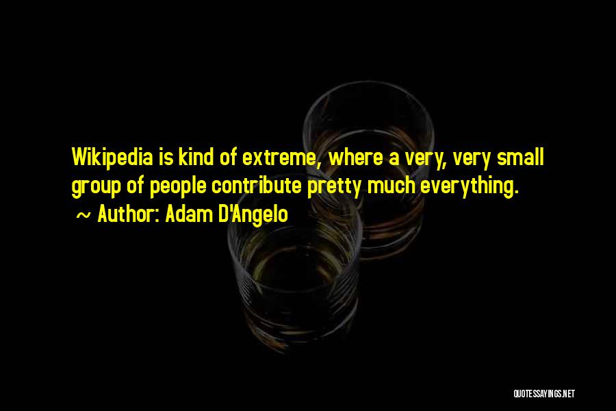 Adam D'Angelo Quotes: Wikipedia Is Kind Of Extreme, Where A Very, Very Small Group Of People Contribute Pretty Much Everything.