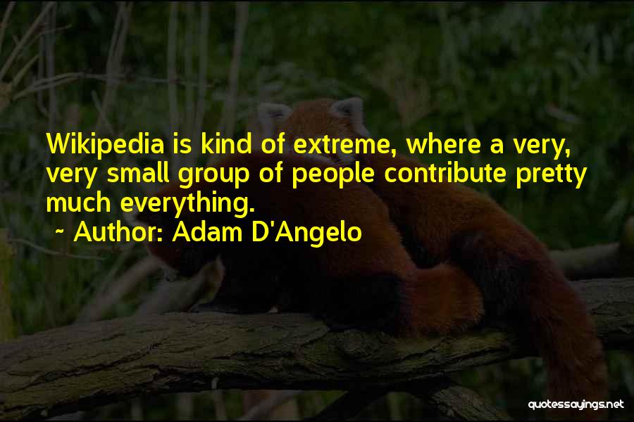 Adam D'Angelo Quotes: Wikipedia Is Kind Of Extreme, Where A Very, Very Small Group Of People Contribute Pretty Much Everything.