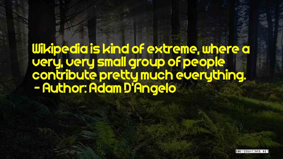 Adam D'Angelo Quotes: Wikipedia Is Kind Of Extreme, Where A Very, Very Small Group Of People Contribute Pretty Much Everything.
