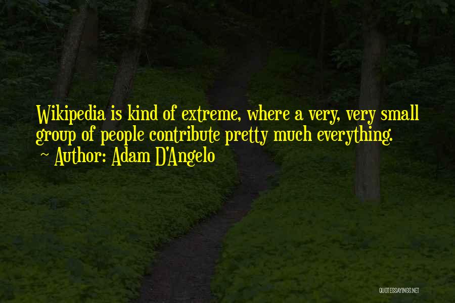 Adam D'Angelo Quotes: Wikipedia Is Kind Of Extreme, Where A Very, Very Small Group Of People Contribute Pretty Much Everything.