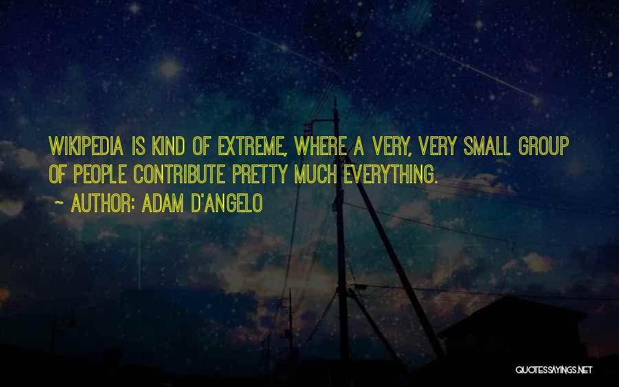 Adam D'Angelo Quotes: Wikipedia Is Kind Of Extreme, Where A Very, Very Small Group Of People Contribute Pretty Much Everything.