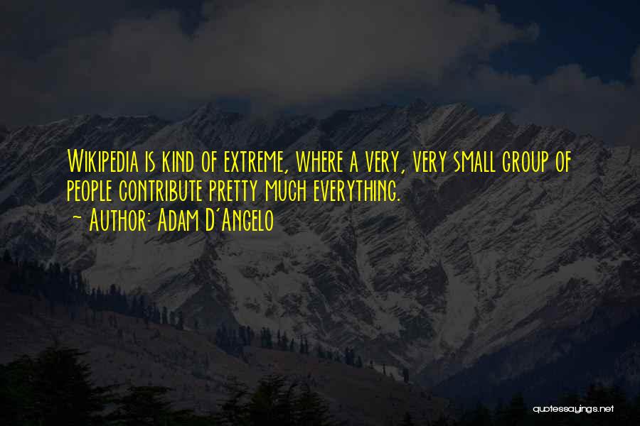 Adam D'Angelo Quotes: Wikipedia Is Kind Of Extreme, Where A Very, Very Small Group Of People Contribute Pretty Much Everything.