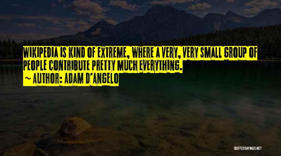Adam D'Angelo Quotes: Wikipedia Is Kind Of Extreme, Where A Very, Very Small Group Of People Contribute Pretty Much Everything.