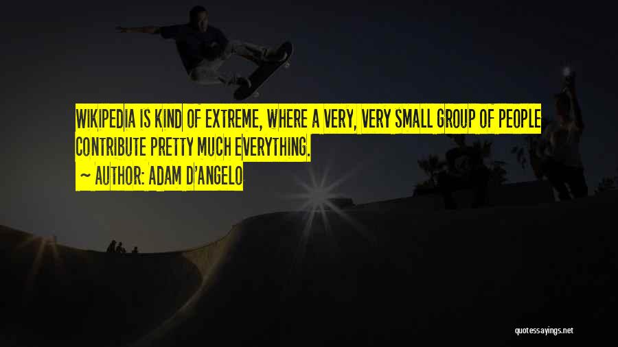 Adam D'Angelo Quotes: Wikipedia Is Kind Of Extreme, Where A Very, Very Small Group Of People Contribute Pretty Much Everything.