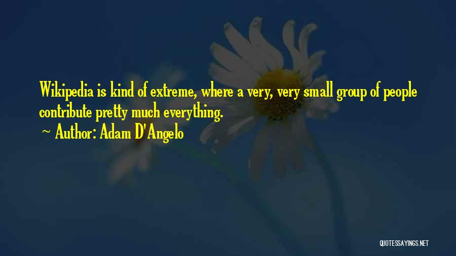Adam D'Angelo Quotes: Wikipedia Is Kind Of Extreme, Where A Very, Very Small Group Of People Contribute Pretty Much Everything.