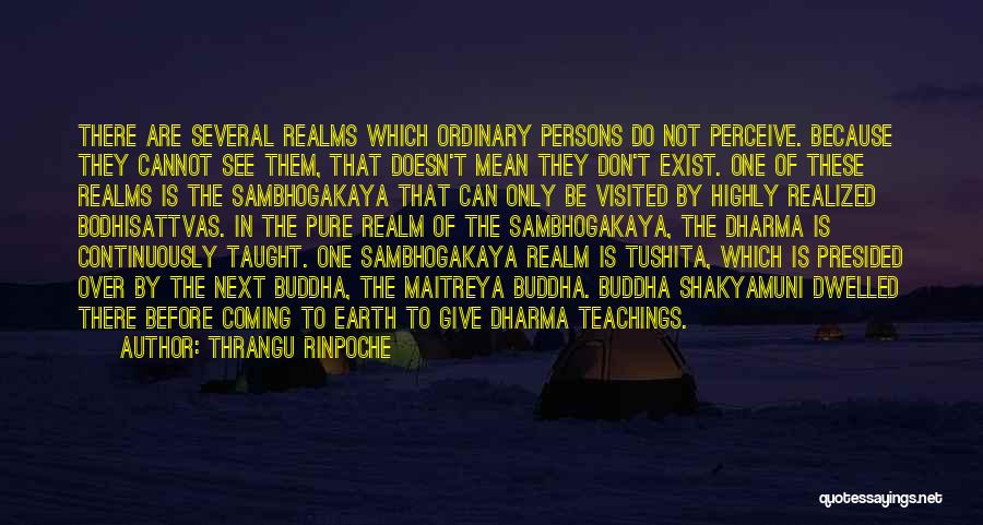 Thrangu Rinpoche Quotes: There Are Several Realms Which Ordinary Persons Do Not Perceive. Because They Cannot See Them, That Doesn't Mean They Don't