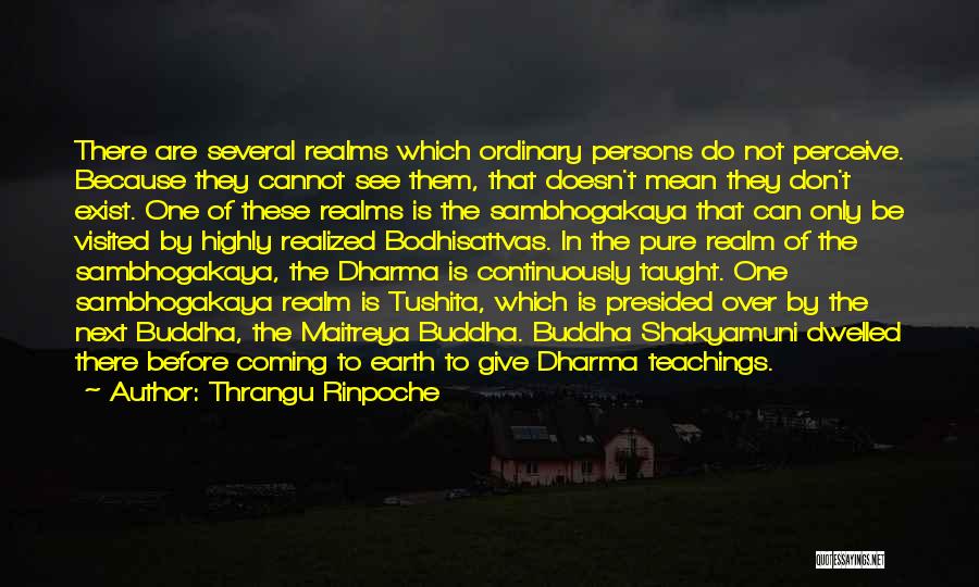 Thrangu Rinpoche Quotes: There Are Several Realms Which Ordinary Persons Do Not Perceive. Because They Cannot See Them, That Doesn't Mean They Don't