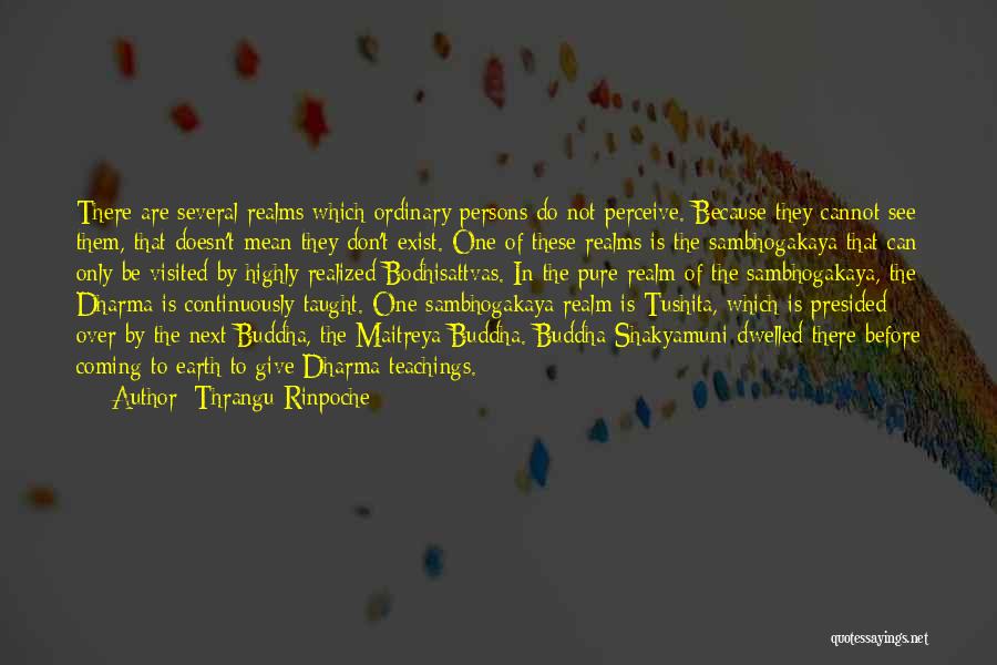 Thrangu Rinpoche Quotes: There Are Several Realms Which Ordinary Persons Do Not Perceive. Because They Cannot See Them, That Doesn't Mean They Don't