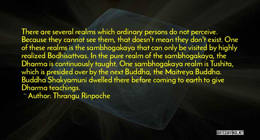 Thrangu Rinpoche Quotes: There Are Several Realms Which Ordinary Persons Do Not Perceive. Because They Cannot See Them, That Doesn't Mean They Don't