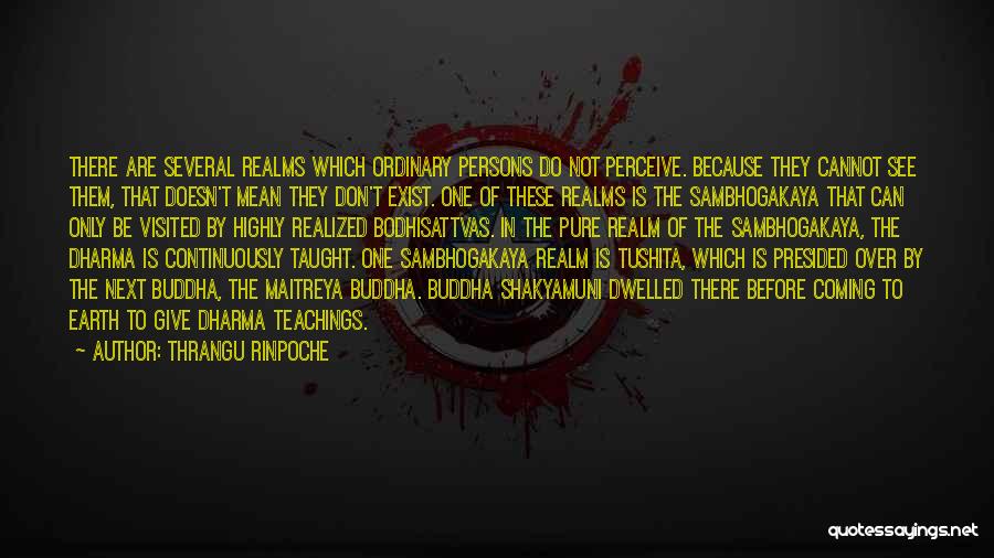 Thrangu Rinpoche Quotes: There Are Several Realms Which Ordinary Persons Do Not Perceive. Because They Cannot See Them, That Doesn't Mean They Don't