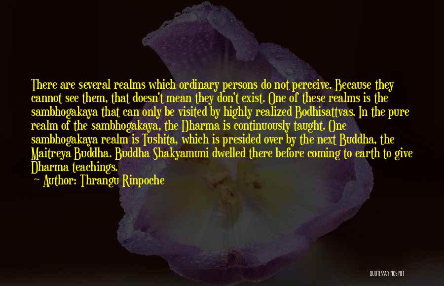 Thrangu Rinpoche Quotes: There Are Several Realms Which Ordinary Persons Do Not Perceive. Because They Cannot See Them, That Doesn't Mean They Don't