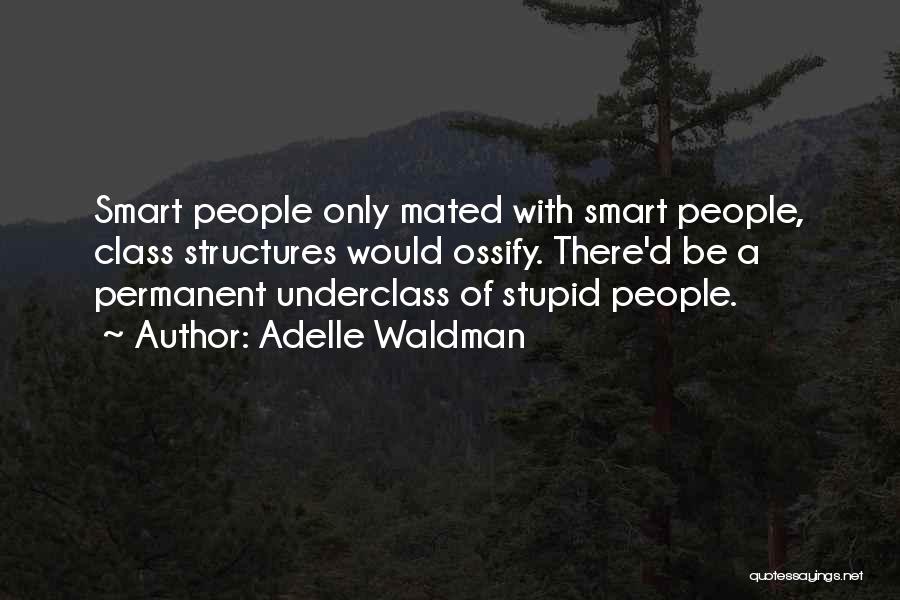 Adelle Waldman Quotes: Smart People Only Mated With Smart People, Class Structures Would Ossify. There'd Be A Permanent Underclass Of Stupid People.