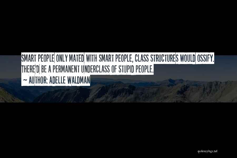 Adelle Waldman Quotes: Smart People Only Mated With Smart People, Class Structures Would Ossify. There'd Be A Permanent Underclass Of Stupid People.