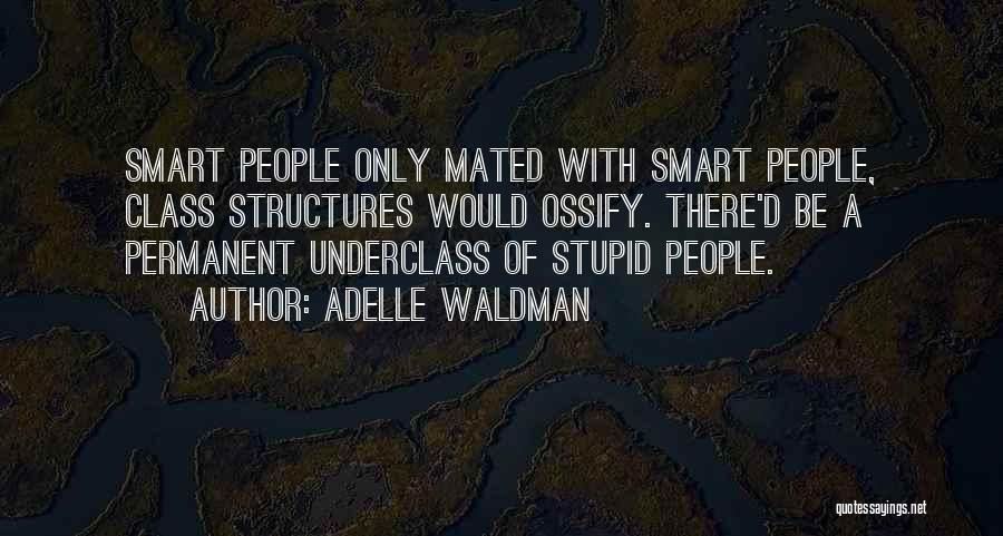 Adelle Waldman Quotes: Smart People Only Mated With Smart People, Class Structures Would Ossify. There'd Be A Permanent Underclass Of Stupid People.