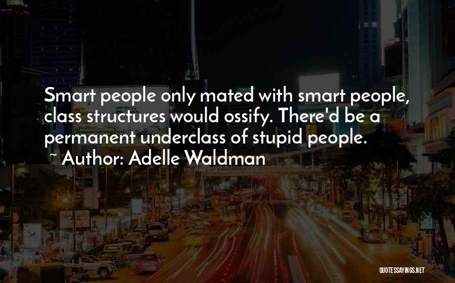 Adelle Waldman Quotes: Smart People Only Mated With Smart People, Class Structures Would Ossify. There'd Be A Permanent Underclass Of Stupid People.