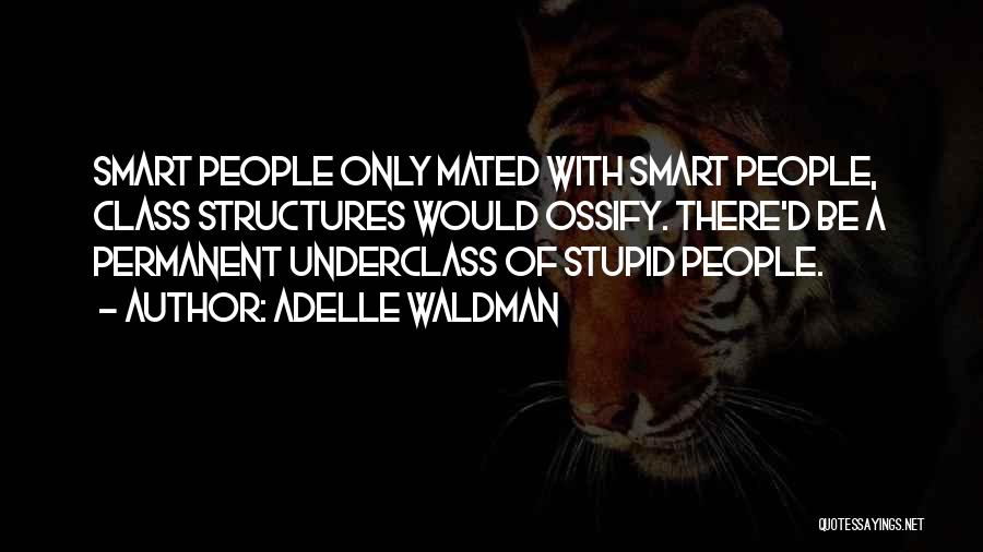 Adelle Waldman Quotes: Smart People Only Mated With Smart People, Class Structures Would Ossify. There'd Be A Permanent Underclass Of Stupid People.